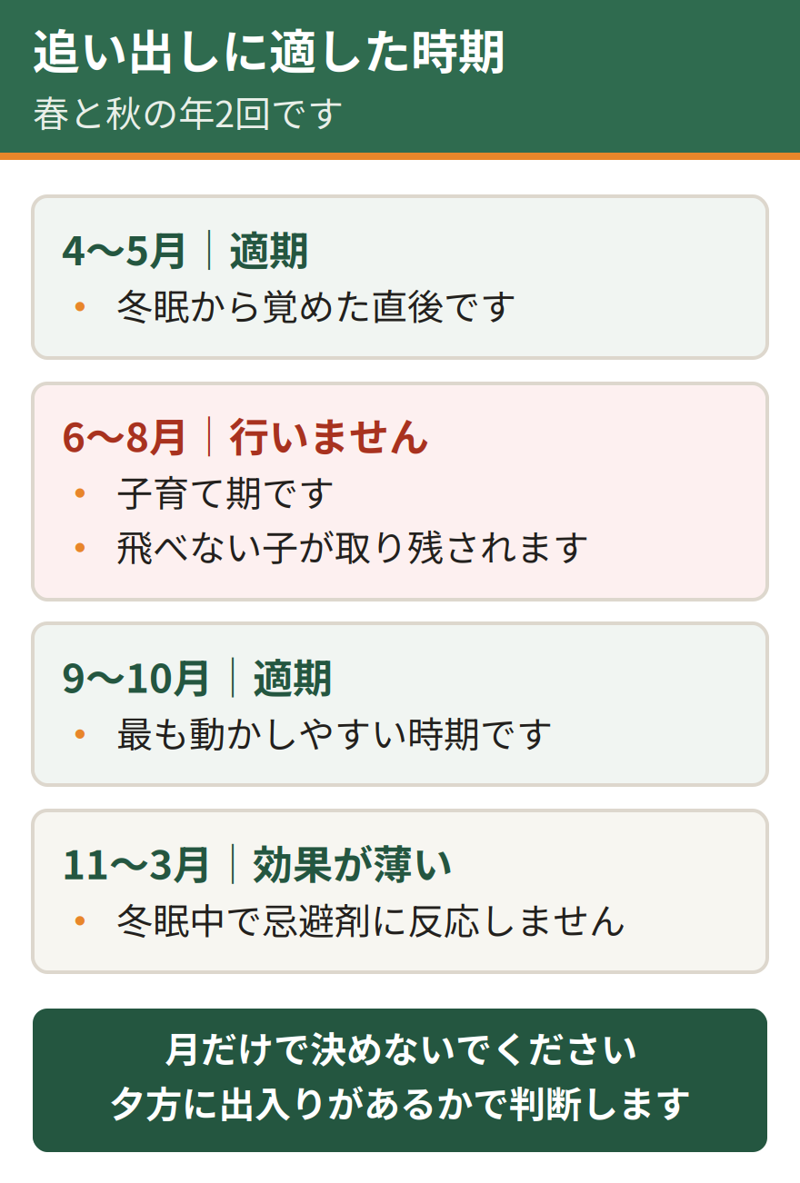 コウモリの追い出しに適した時期。4月から5月の春と9月から10月の秋が適期。6月から8月の夏は子育て期で飛べない子が取り残されるため行えない。11月から3月の冬は冬眠中で忌避剤に反応しないため効果が薄い。月だけで判断せず夕方の出入りを確認する