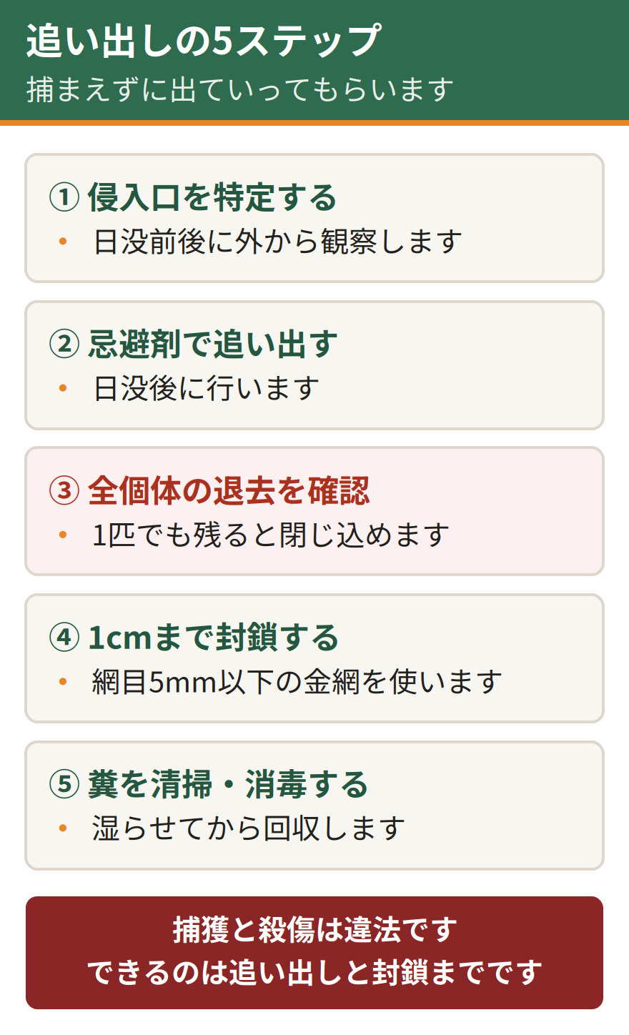 コウモリを追い出す5つのステップ。日没前後に外から観察して侵入口を特定する、日没後に忌避剤で追い出す、全個体が出たかを確認する、1センチの隙間まで封鎖する、糞を清掃して消毒する。捕獲や殺傷は違法なので行わない