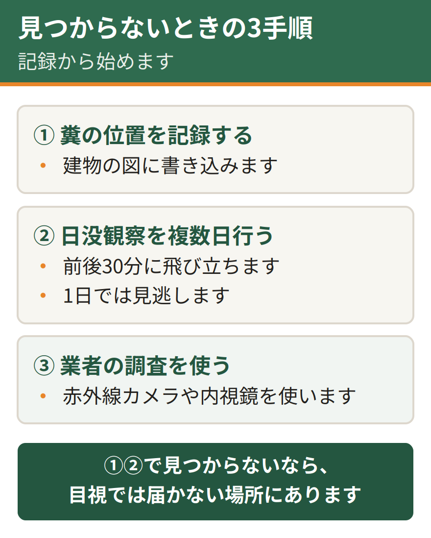 侵入口が見つからないときの3ステップ。糞が落ちている場所をすべて記録して建物の図に書き込む、日没前後の30分に外から観察して飛び立つ瞬間を複数日確認する、それでも分からなければ赤外線カメラや内視鏡を持つ業者に調査を依頼する