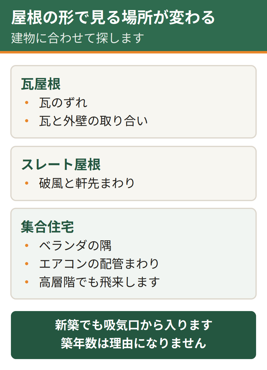 屋根の形状別に見るべきチェック箇所。瓦屋根は瓦のずれと瓦と外壁の取り合いを重点的に見る。スレート屋根は破風と軒先まわりを確認する。集合住宅はベランダの隅とエアコンの配管まわりが要注意で、高層階でも飛来する