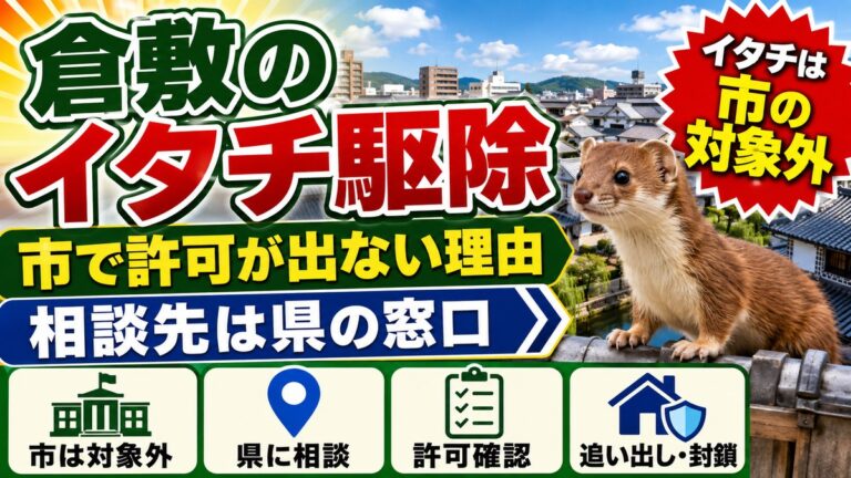 倉敷のイタチ駆除｜市で許可が出ない理由と相談先の分かれ方｜倉敷美観地区の町並みを背景に瓦屋根の上のイタチ