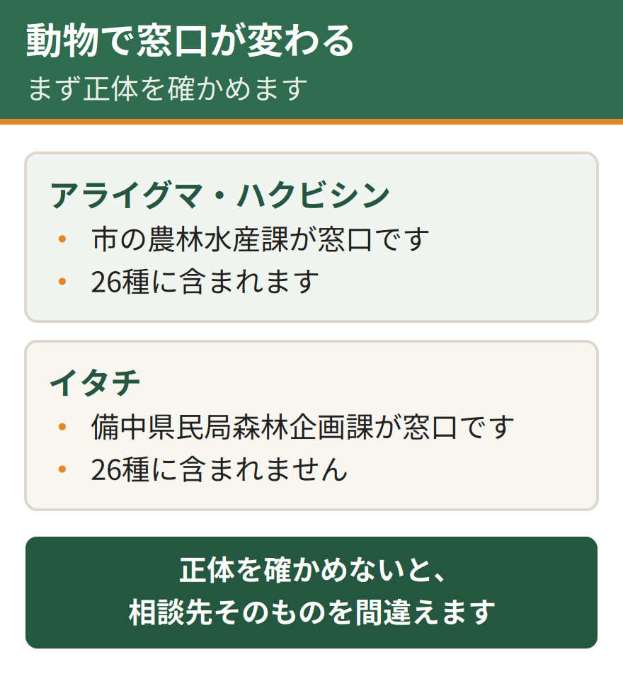 倉敷市では相手の動物によって窓口が変わる。26種に入るアライグマやハクビシンは市の農林水産課が窓口になる。イタチは備中県民局森林企画課が窓口になる