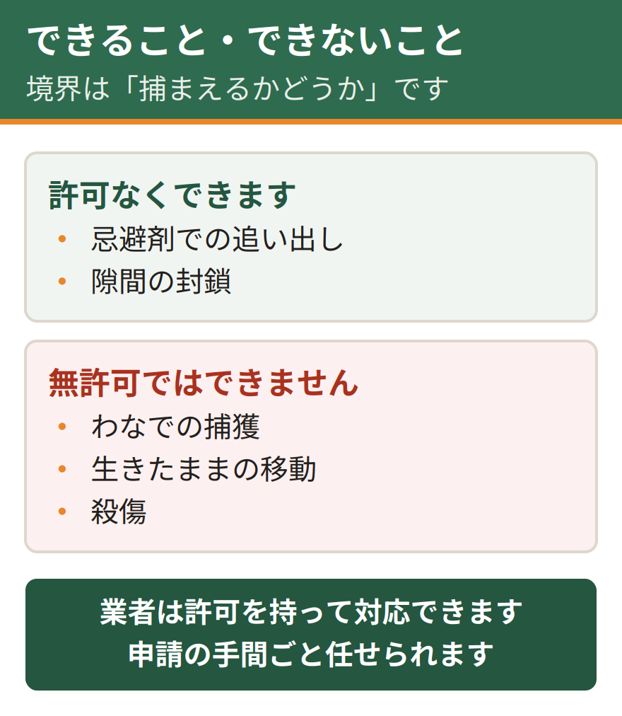 イタチ対策で自分にできることとできないこと。忌避剤での追い出しや隙間の封鎖は許可なく行える。わなでの捕獲や生きたままの移動、殺傷は無許可では行えない