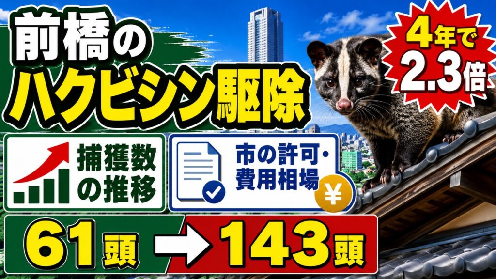 前橋のハクビシン駆除｜捕獲数の推移と市の許可・費用相場｜前橋市街を背景に瓦屋根の上のハクビシン、捕獲数が61頭から143頭へ増えたことを示すグラフ