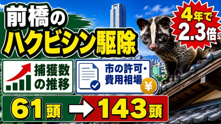前橋のハクビシン駆除｜捕獲数の推移と市の許可・費用相場｜前橋市街を背景に瓦屋根の上のハクビシン、捕獲数が61頭から143頭へ増えたことを示すグラフ