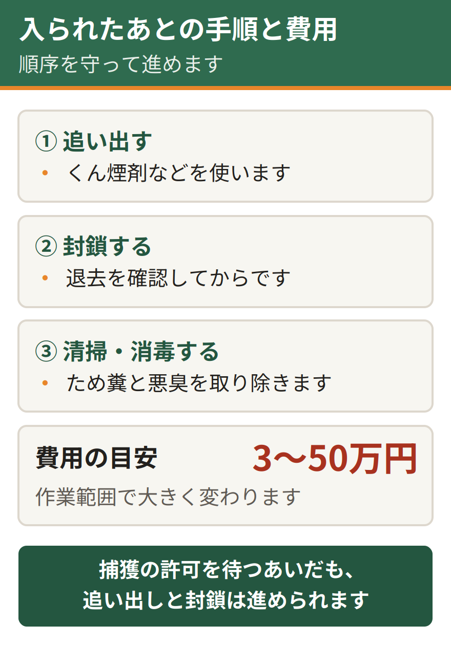 屋根裏に入られたあとの手順と費用の目安。追い出し、封鎖、清掃と消毒の順で進める。費用は3万円から50万円の幅がある
