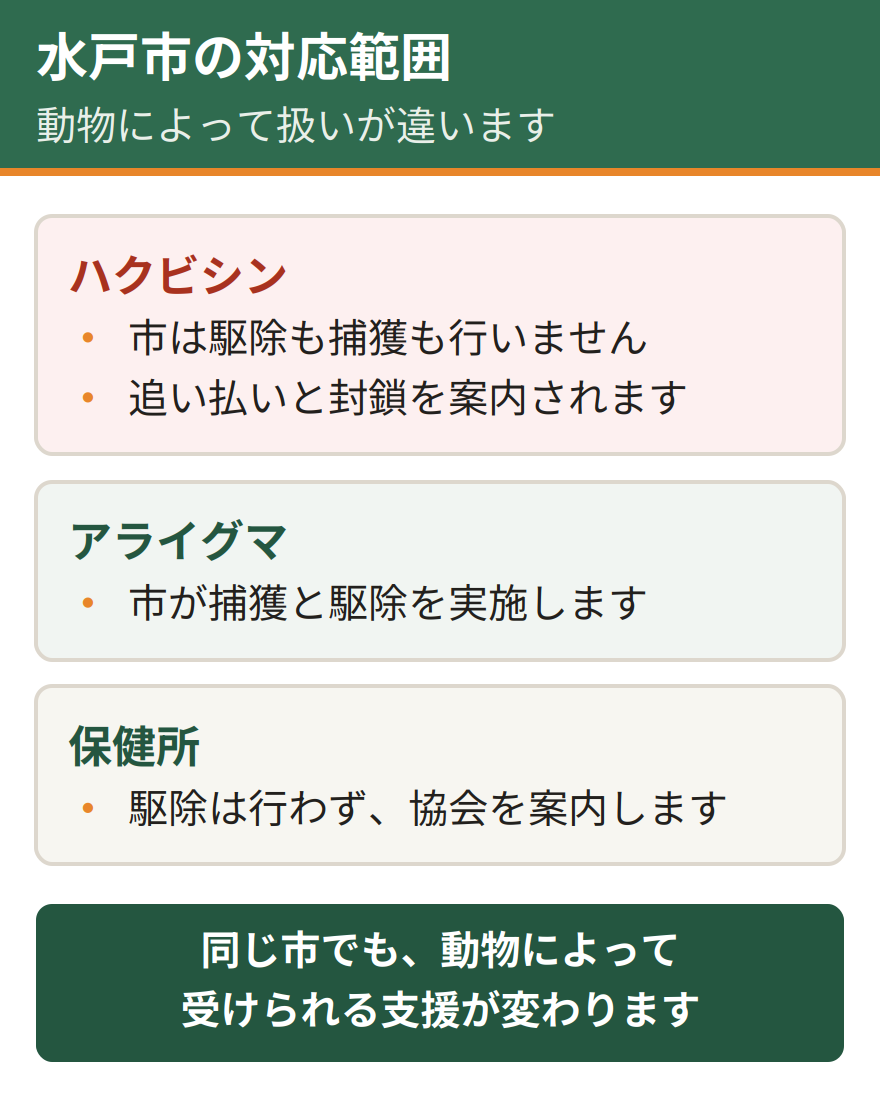 水戸市の対応範囲。ハクビシンは市が駆除も捕獲も行わず、追い払いと封鎖を案内している。アライグマだけは市が捕獲と駆除を実施する。保健所も駆除は行わず協会を案内している