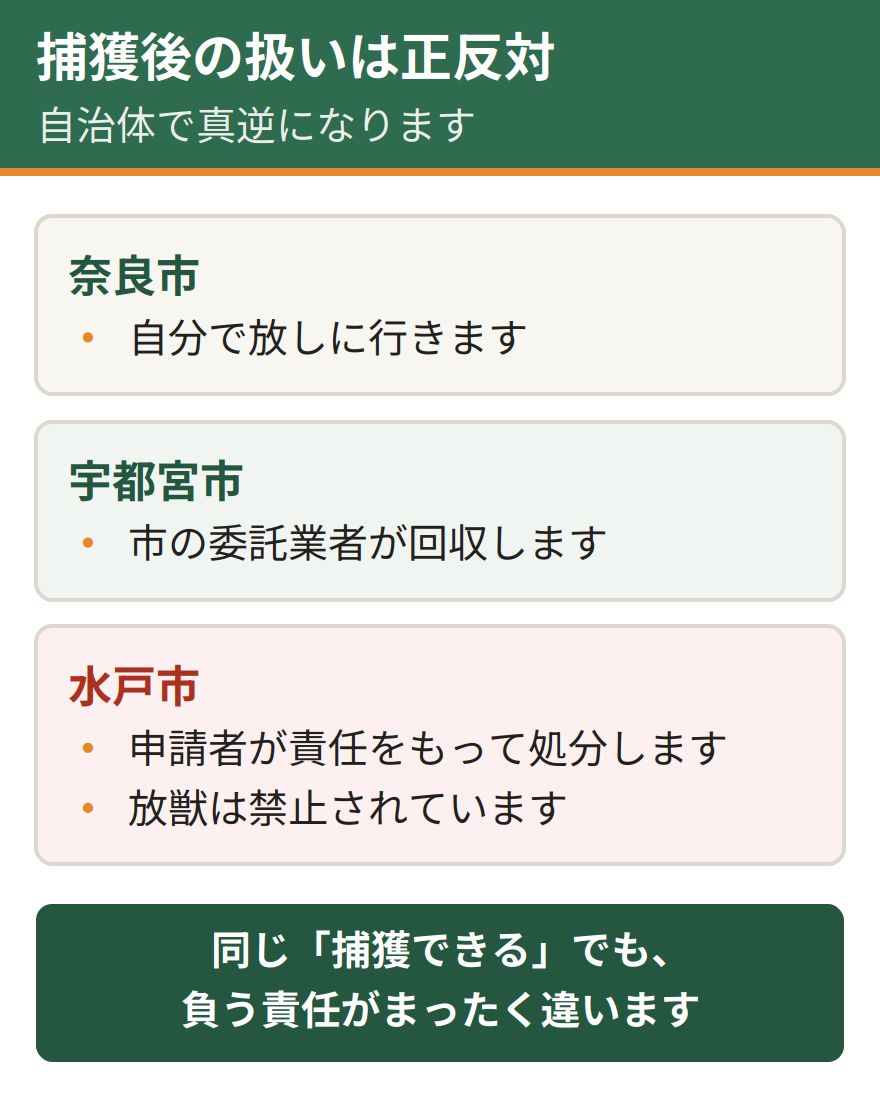 捕獲後の扱いの比較。奈良市は捕獲した個体を自分で放しに行く。宇都宮市は市の委託業者が回収する。水戸市は申請者が責任をもって処分し、放獣は禁止されている