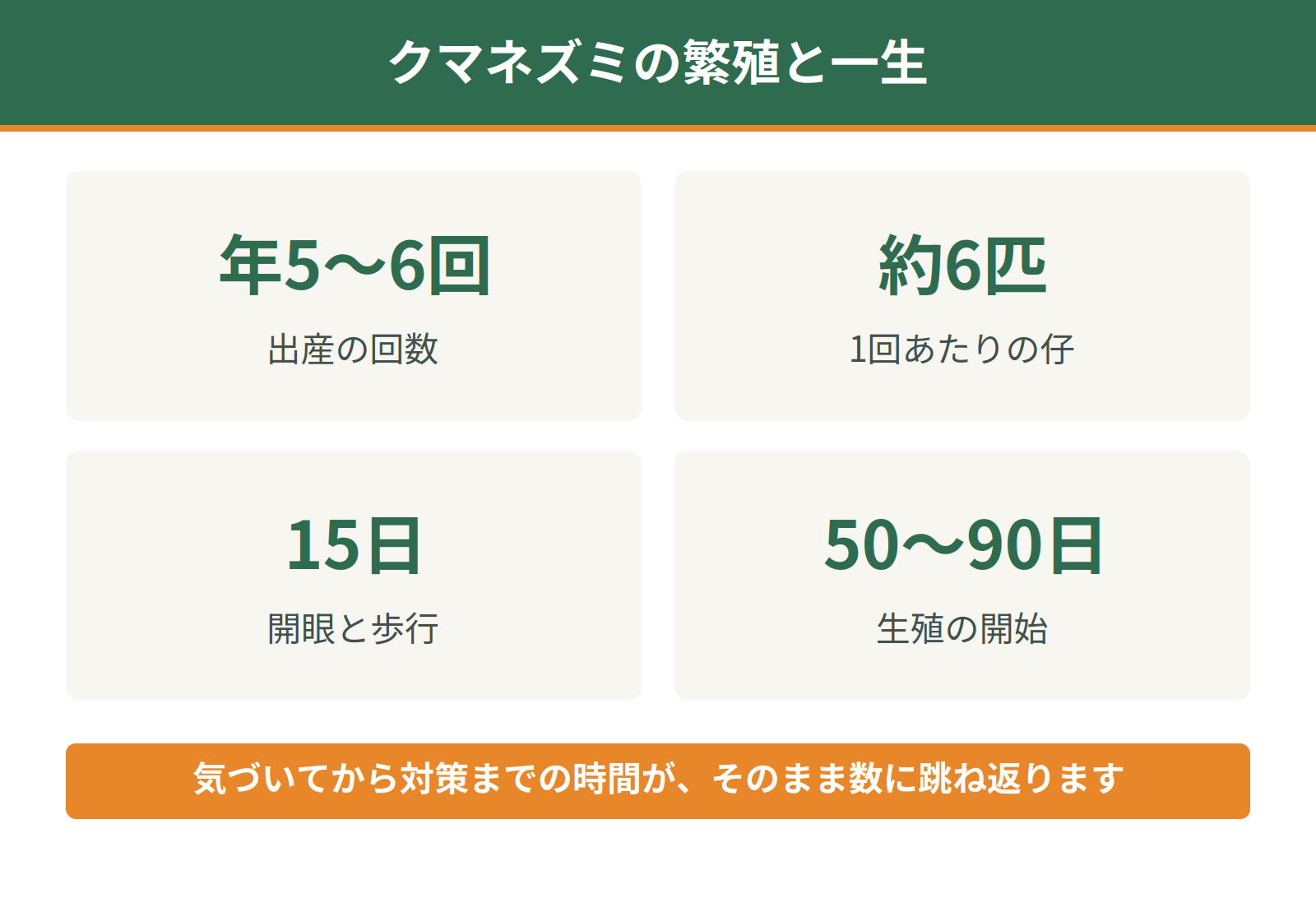 クマネズミの繁殖と一生｜年5から6回の出産、1回約6匹、15日で開眼、50から90日で生殖開始