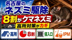 名古屋のネズミ駆除｜捕獲の8割がクマネズミという前提｜高所対策・8割の内訳・侵入口・IPMを示したイラスト