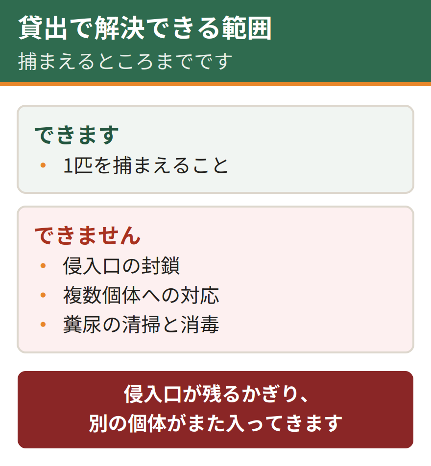 捕獲器の貸出制度で解決できることとできないこと。1匹を捕まえることはできる。侵入口の封鎖、複数個体への対応、糞尿の清掃はできない