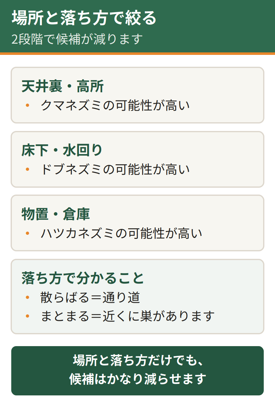 糞を見つけた場所と落ち方から候補を絞る方法。落ちている場所が天井裏や高所ならクマネズミ、床下や水回りならドブネズミ、物置や倉庫ならハツカネズミが候補になる。散らばっていれば通り道、まとまっていれば近くに巣がある