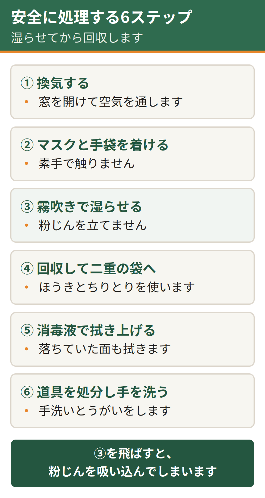 ネズミの糞を安全に処理する6ステップ。換気する、マスクとゴム手袋を着ける、霧吹きで糞を湿らせる、ほうきとちりとりで回収し二重の袋に入れる、消毒液で拭き上げる、道具を処分し手洗いとうがいをする