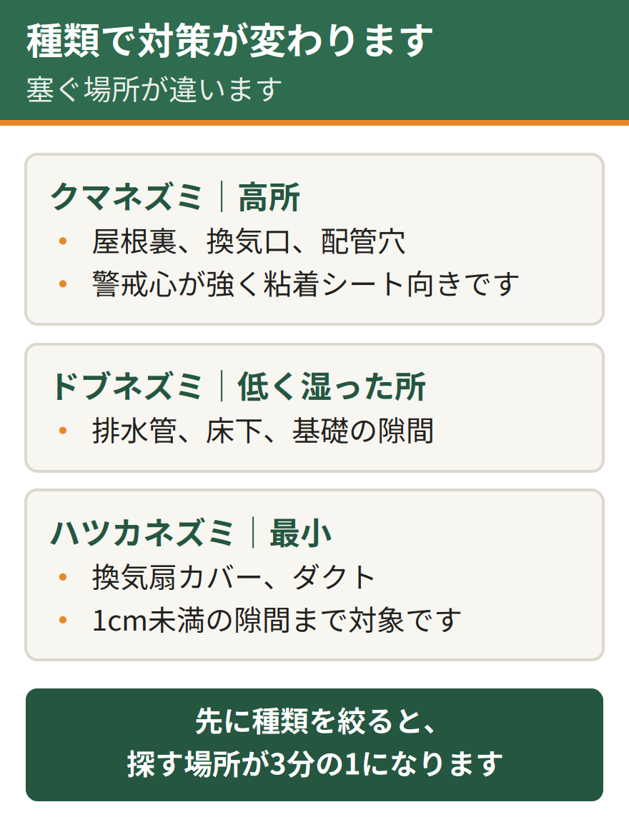 種類が分かると対策が変わる。クマネズミなら屋根裏や換気口、エアコン配管穴など高所を重点的に封鎖し、警戒心が強いので殺そ剤より粘着シートを選ぶ。ドブネズミなら排水管や床下、基礎の隙間を重点的に封鎖する。ハツカネズミなら換気扇カバーやダクトなど1センチ未満の隙間まで対象にする