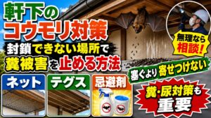 軒下のコウモリ対策｜封鎖できない場所で糞被害を止める方法｜軒下にぶら下がるコウモリと外壁の尿の跡、ネットとテグスと忌避剤のイメージ