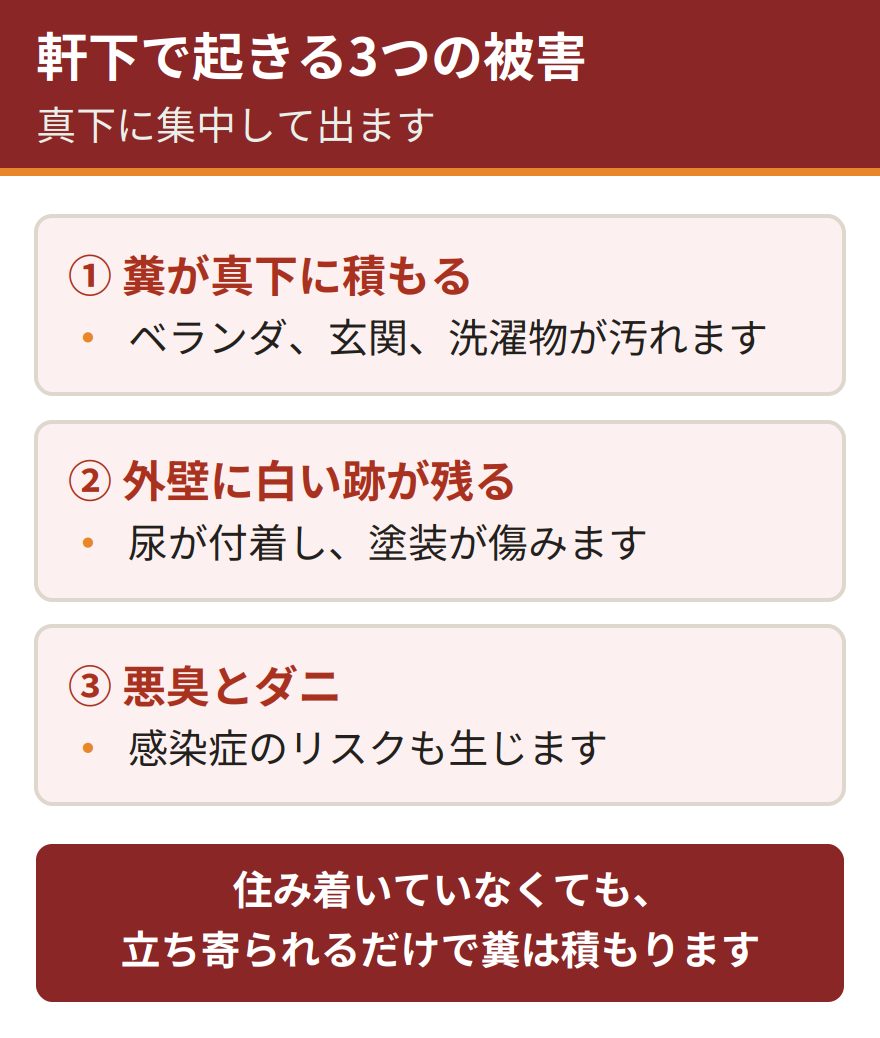 軒下のコウモリで起きる3つの被害。糞が真下に積もりベランダや玄関、洗濯物が汚れる。尿が外壁に付着して白い跡になり塗装が傷む。悪臭に加えてダニや感染症のリスクが生じる