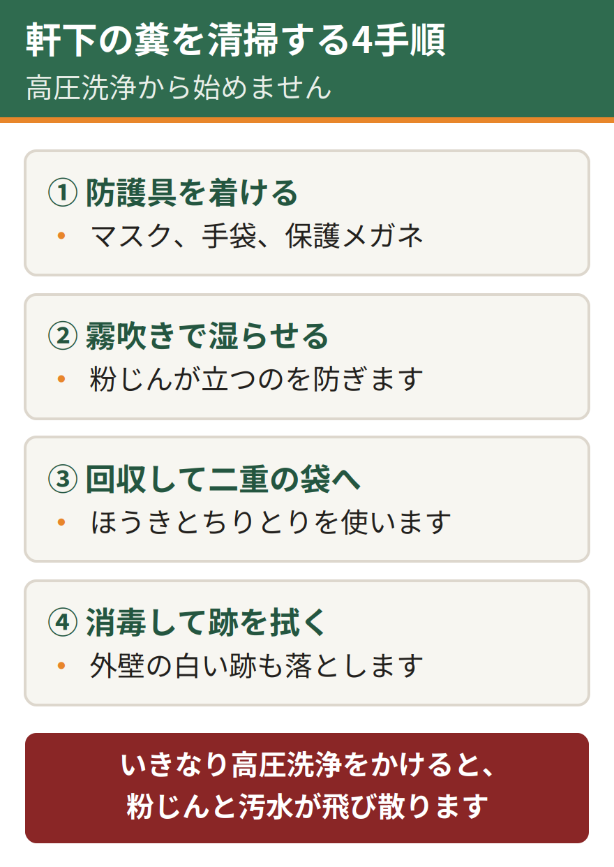 軒下の糞を安全に清掃する4ステップ。防護具を着ける、霧吹きで糞を湿らせて粉じんを立てない、ほうきとちりとりで回収して二重の袋に入れる、消毒して外壁の跡を拭き取る。いきなり高圧洗浄をかけると粉じんと汚水が飛散する