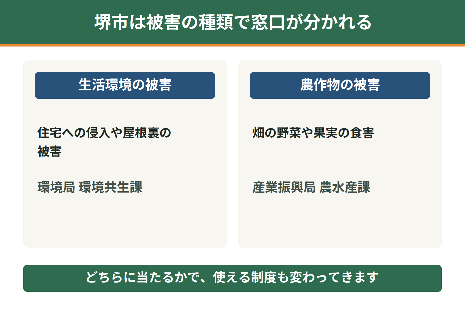 堺市のアライグマ相談窓口｜生活環境被害は環境共生課、農作物被害は農水産課