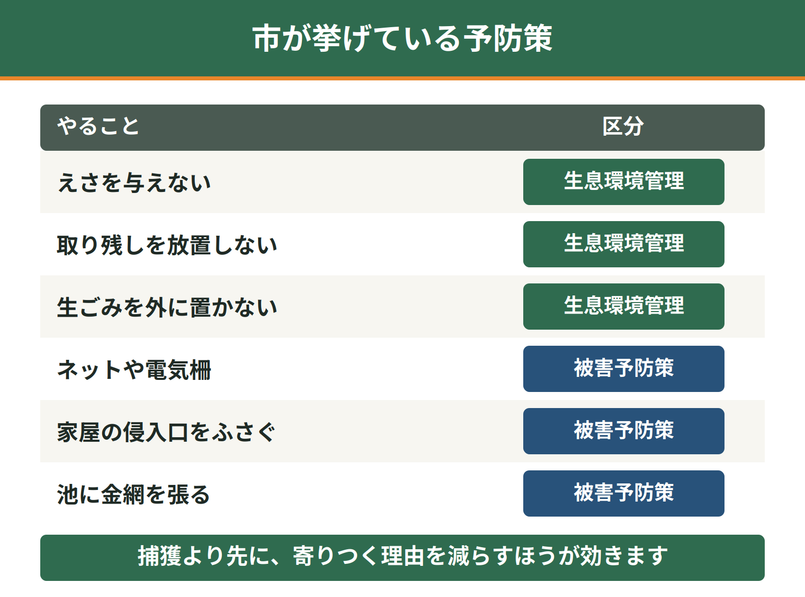 堺市が示すアライグマの被害予防策｜生息環境管理と被害予防策の6項目