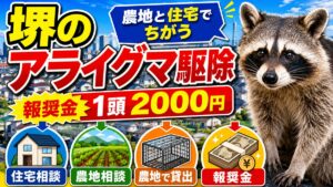 堺のアライグマ駆除｜農地か住宅かで窓口も報奨金も変わる｜住宅相談・農地相談・農地で貸出・報奨金の違いを示したイラスト