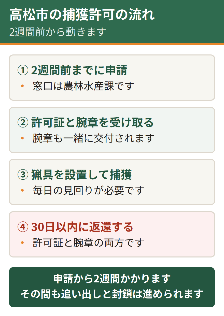 高松市の捕獲許可の流れ。2週間前までに申請する、許可証と腕章を受け取る、猟具を設置して捕獲する、30日以内に許可証と腕章を返還する