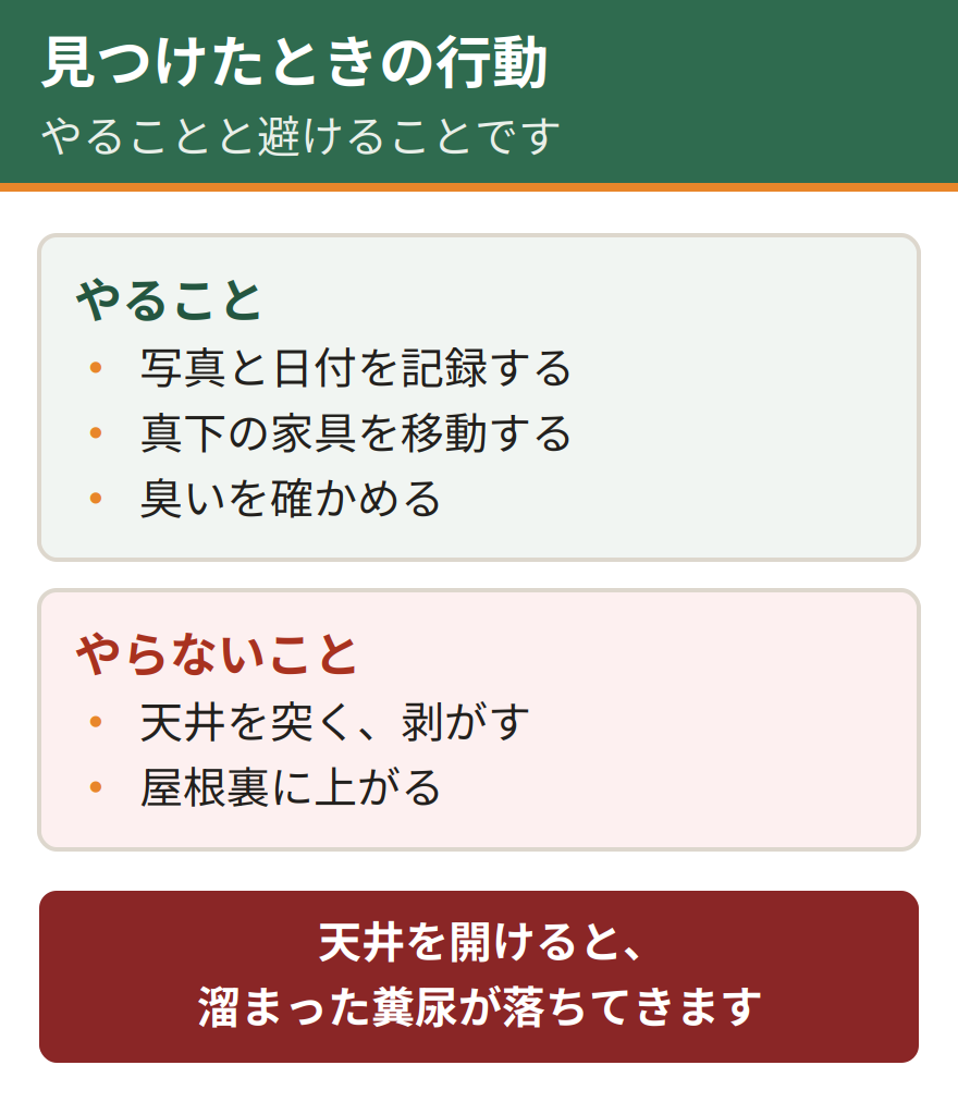 天井のシミを見つけたときにやることとやらないこと。写真と日付を記録する、真下の家具を移動する、臭いを確かめる。天井を突いたり剥がしたりしない、屋根裏に上がらない