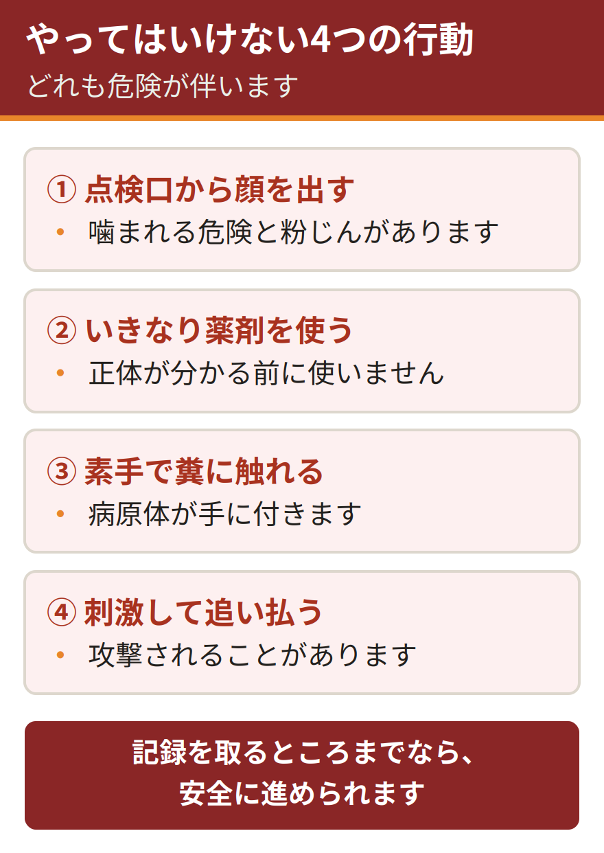 確認するときにやってはいけない4つの行動。点検口から顔を出して覗き込む、いきなり殺鼠剤や燻煙剤を使う、素手で糞に触れる、追い払おうとして刺激する