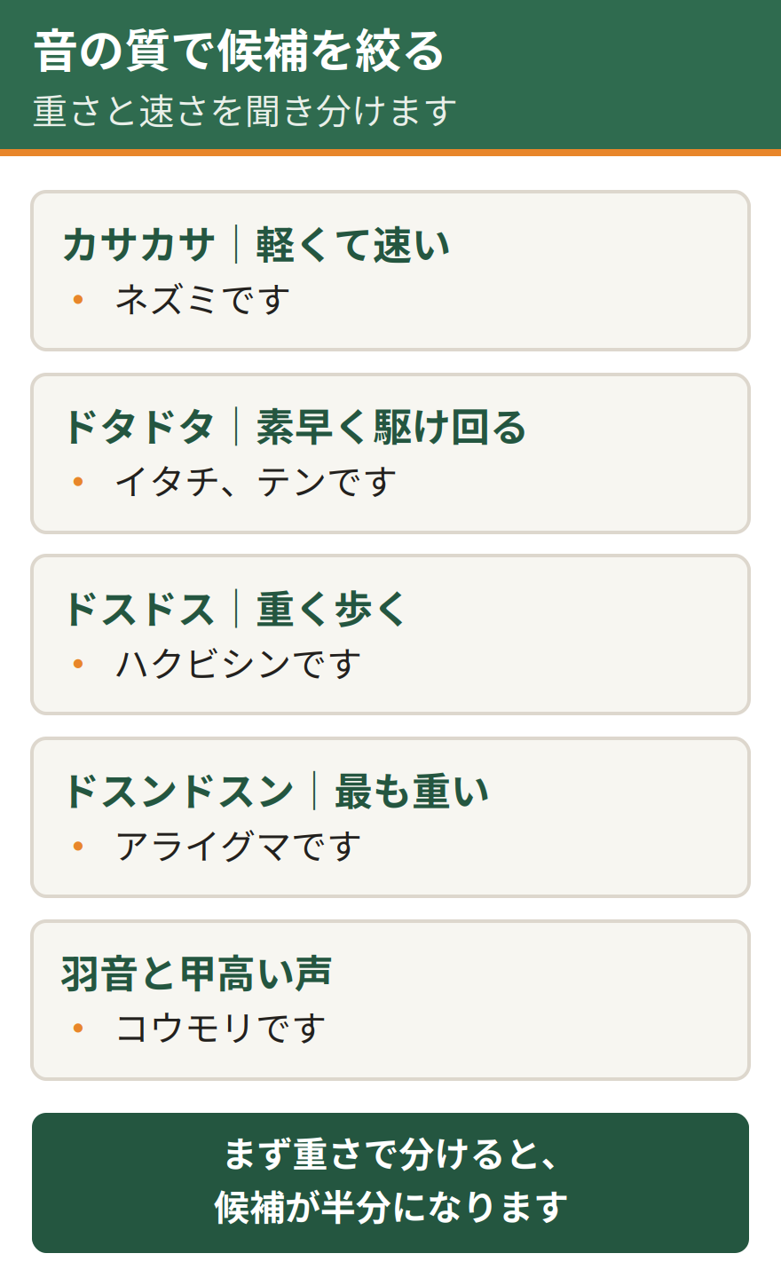 足音の質と時間帯でわかる判定。カサカサという音が深夜ならネズミ、ドタドタと夜通しならイタチやテン、ドスドスと夜間ならハクビシン、ドスンドスンと昼間も聞こえるならアライグマ、羽音が日没直後ならコウモリ