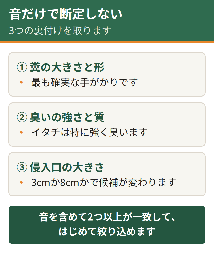 音以外に確認すべき3つの裏付け。糞の大きさと形、臭いの強さと質、侵入口の大きさ。音を含めて2つ以上が一致してはじめて絞り込める