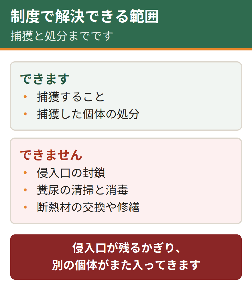 宇都宮市の貸出制度で解決できることとできないこと。捕獲と処分はできる。侵入口の封鎖、糞尿の清掃と消毒、断熱材の交換や修繕は対象外