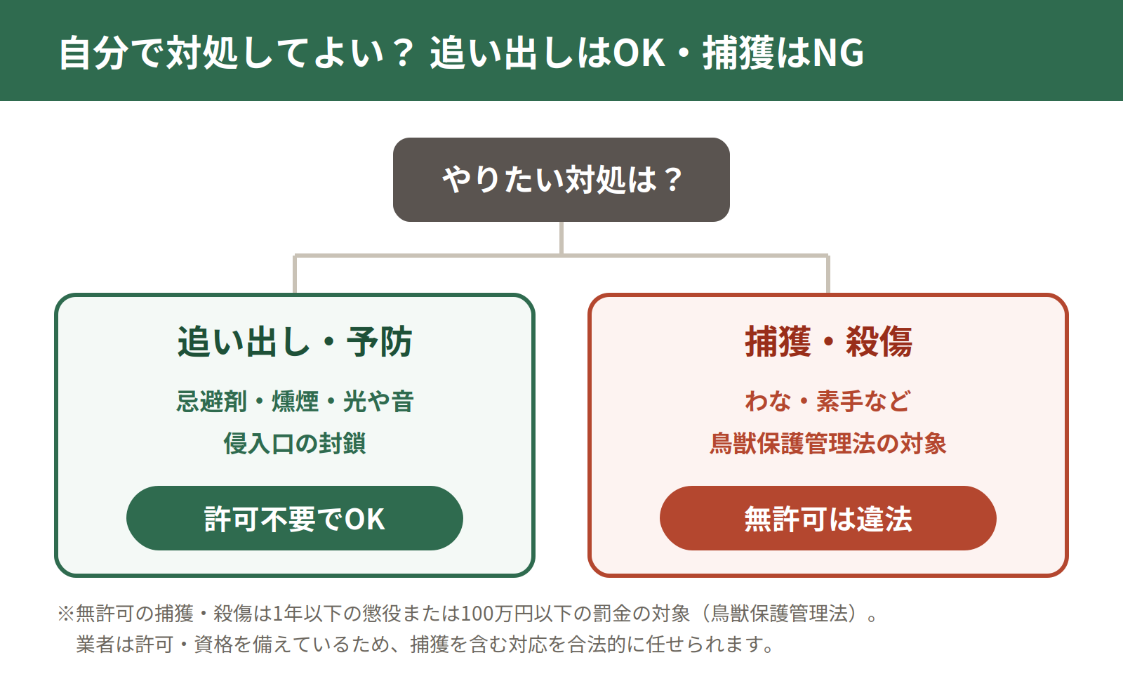 ハクビシンの対処可否フローチャート。追い出し・予防は許可不要、捕獲・殺傷は無許可だと鳥獣保護管理法違反