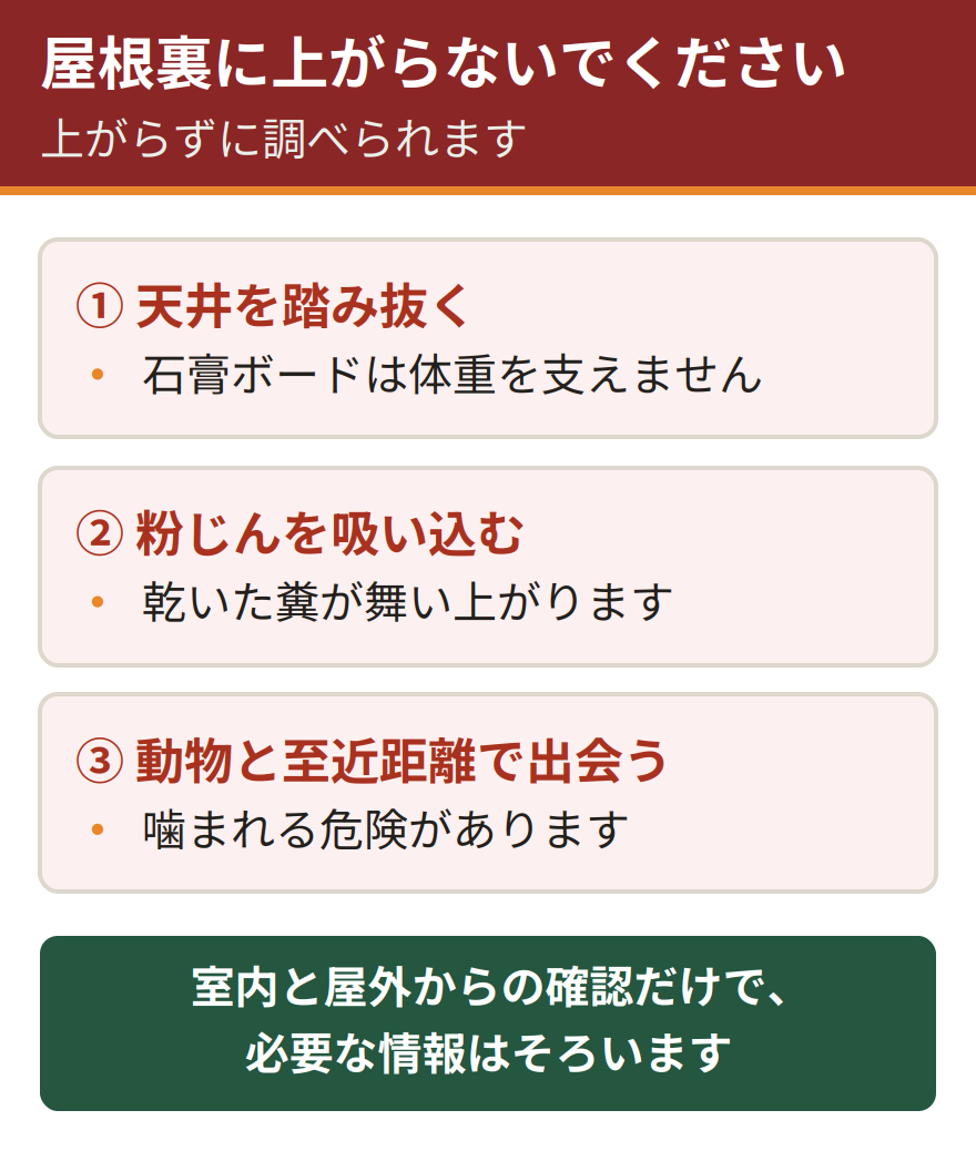 屋根裏に上がってはいけない3つの理由。天井を踏み抜いて落ちる、粉じんを吸い込む、動物と至近距離で出会う