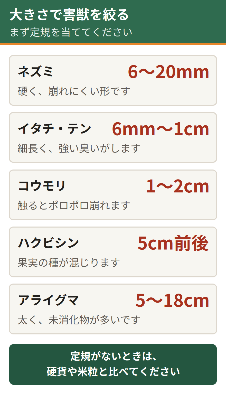 屋根裏の糞を大きさで絞る判定。6ミリから20ミリはネズミ、6ミリから1センチで細長いのはイタチやテン、1センチから2センチで崩れるのはコウモリ、5センチ前後はハクビシン、5センチから18センチはアライグマ
