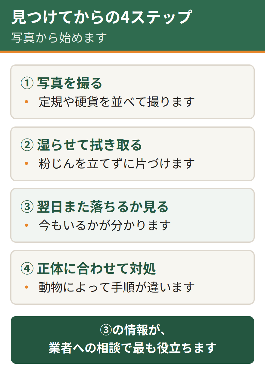 糞を見つけてからの4ステップ。写真を撮る、湿らせて拭き取る、翌日また落ちるかを見る、正体に合わせて対処を選ぶ