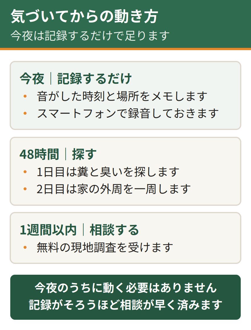 屋根裏の音に気づいてからの初動タイムライン。今夜は記録するだけでよい、翌日からの48時間で糞と開口部を探す、1週間以内に無料の現地調査を受ける。今夜のうちに動く必要はない
