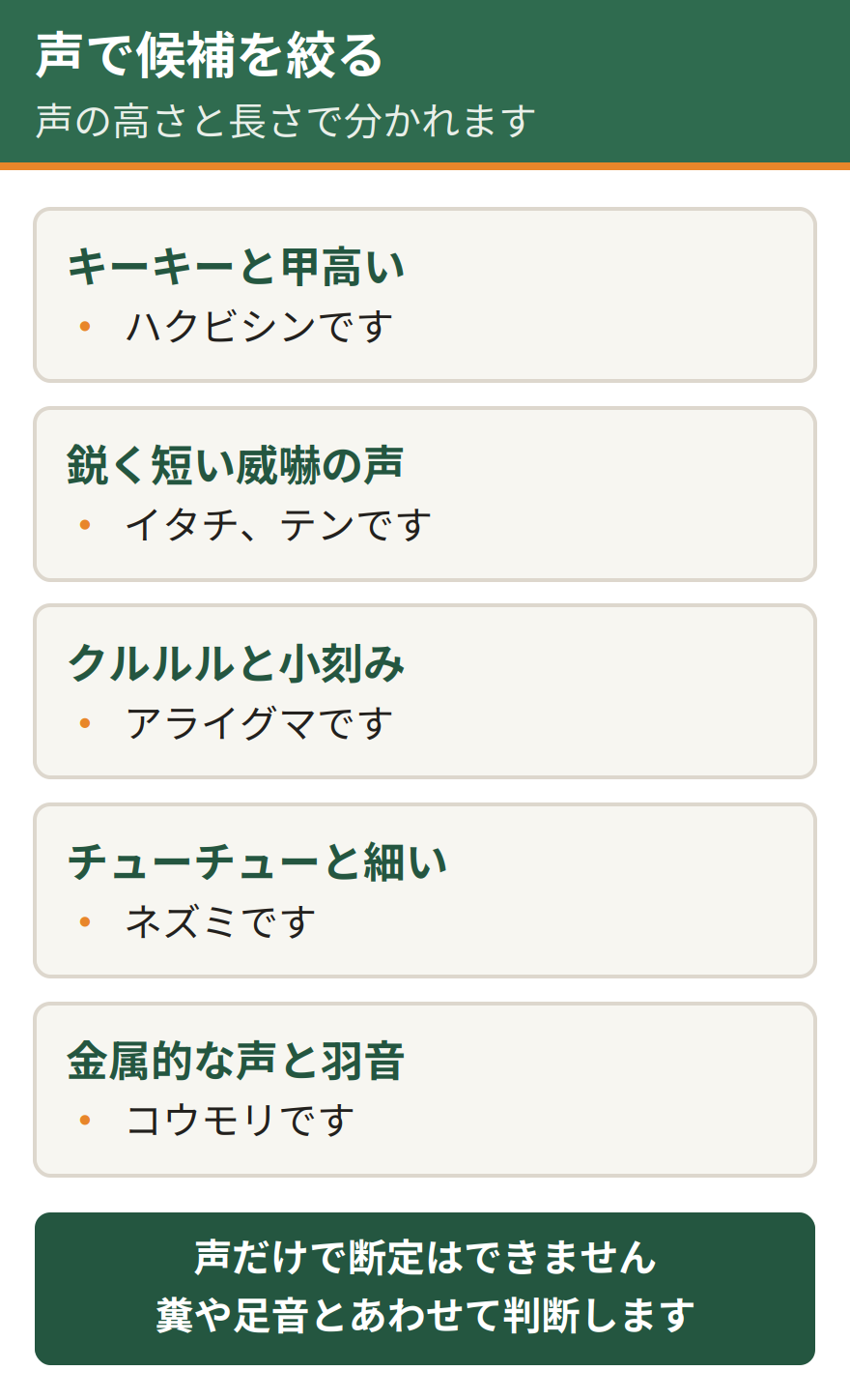 鳴き声で候補を絞る判定。キーキーという甲高い声はハクビシン、鋭く短い威嚇の声はイタチやテン、クルルルという声はアライグマ、チューチューという細い声はネズミ、金属的な声と羽音はコウモリ