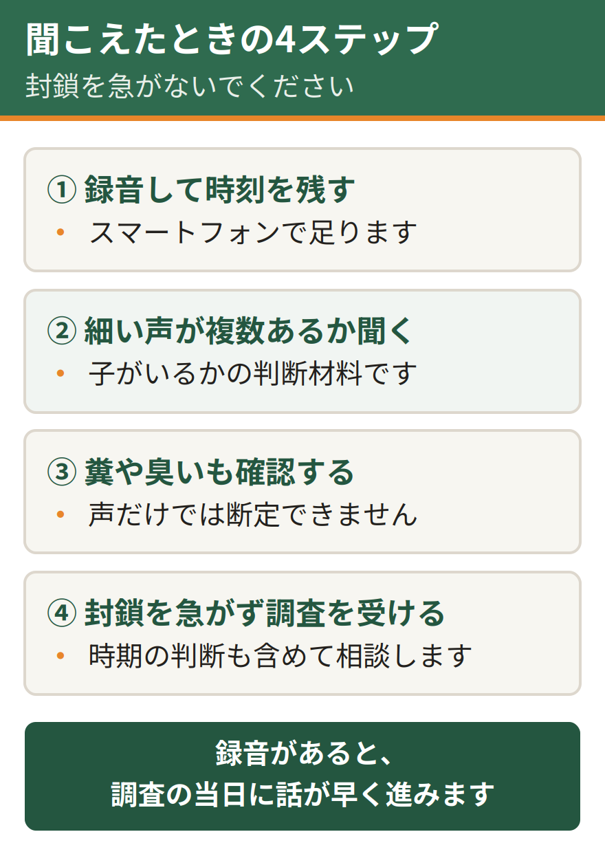 鳴き声が聞こえたときの4ステップ。録音して時刻を残す、細い声が複数あるかを聞く、糞や臭いもあわせて確認する、封鎖を急がず調査を受ける